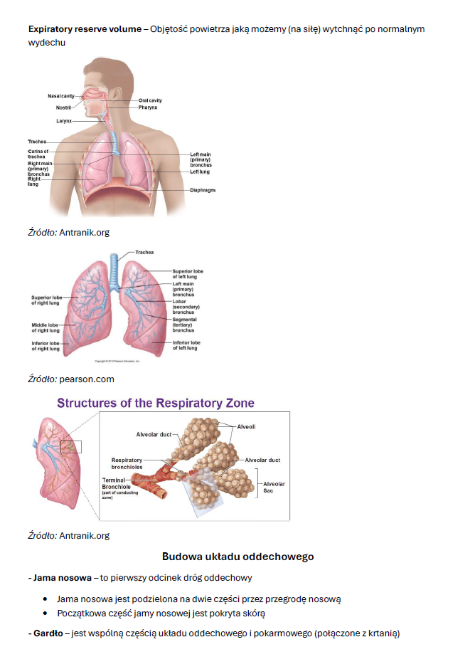 Biologia_ekspozycja1.3